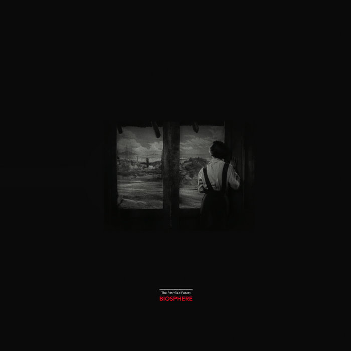 The Petrified Forest Album Cover